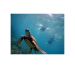 株式会社Type-O（タイプオー）