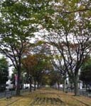 091020 ベストショット卸町-1